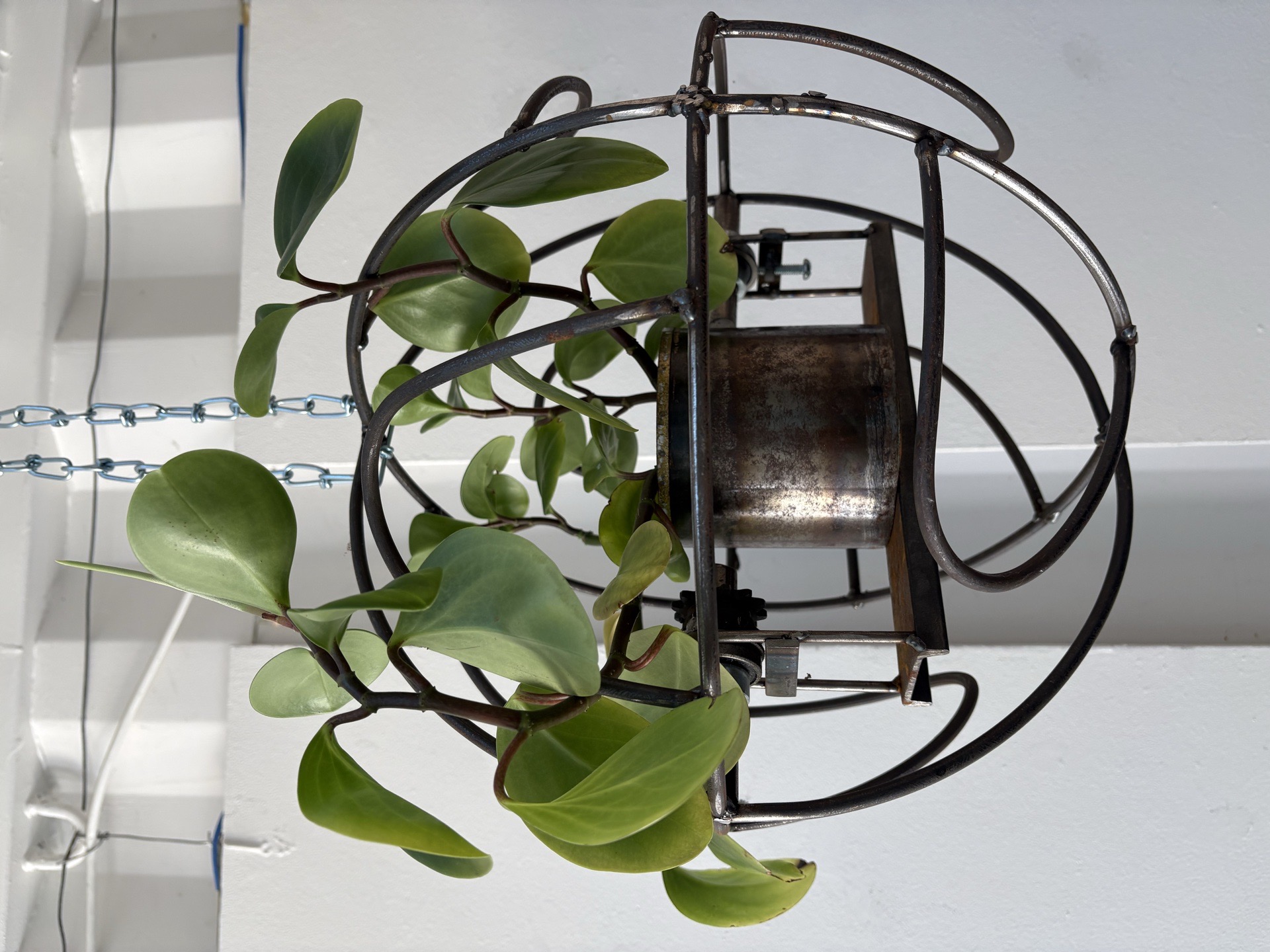 Planeterrarium